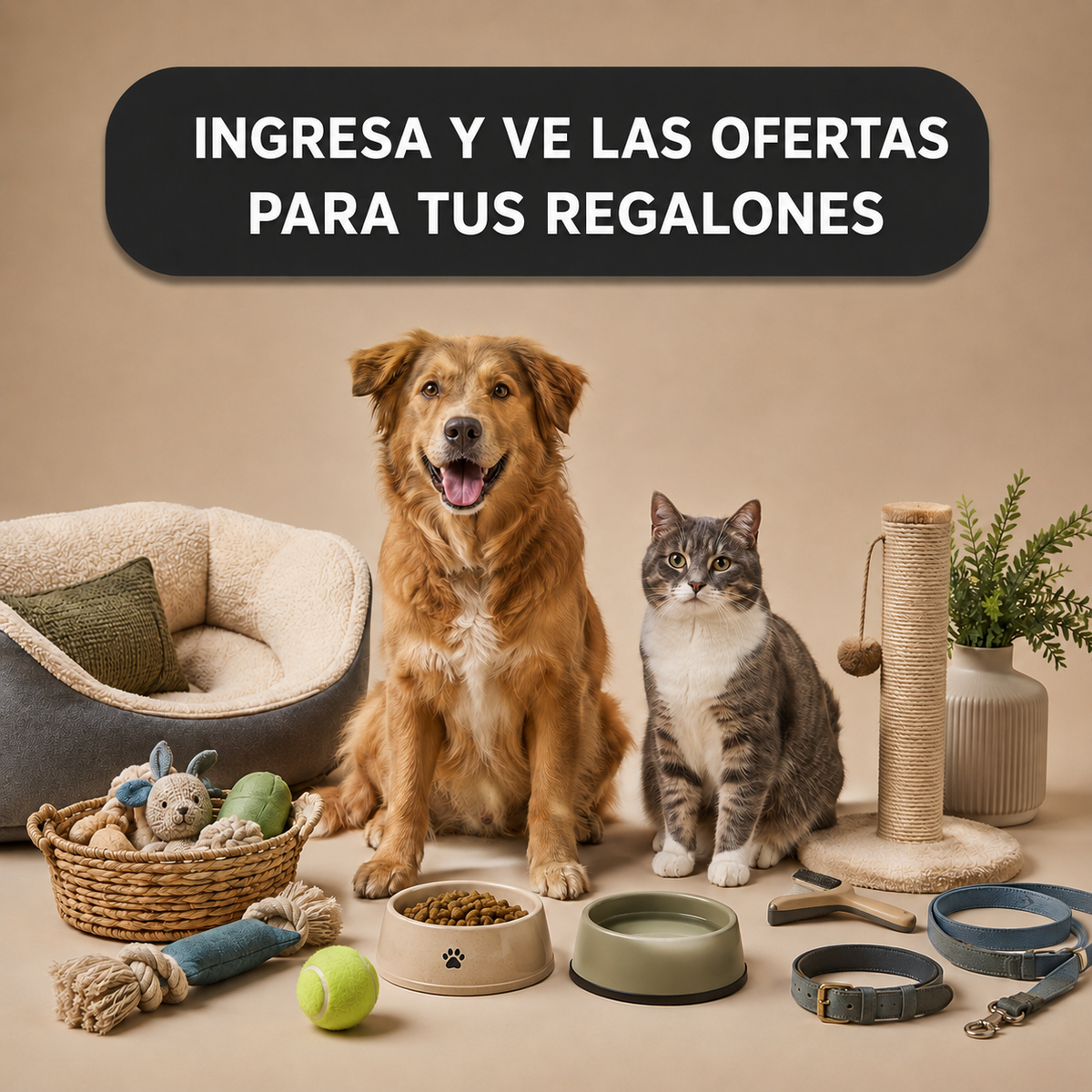 MASCOTAS